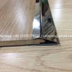 China stainless steel metal floor strip trim edges brushed finish tile trim supplier